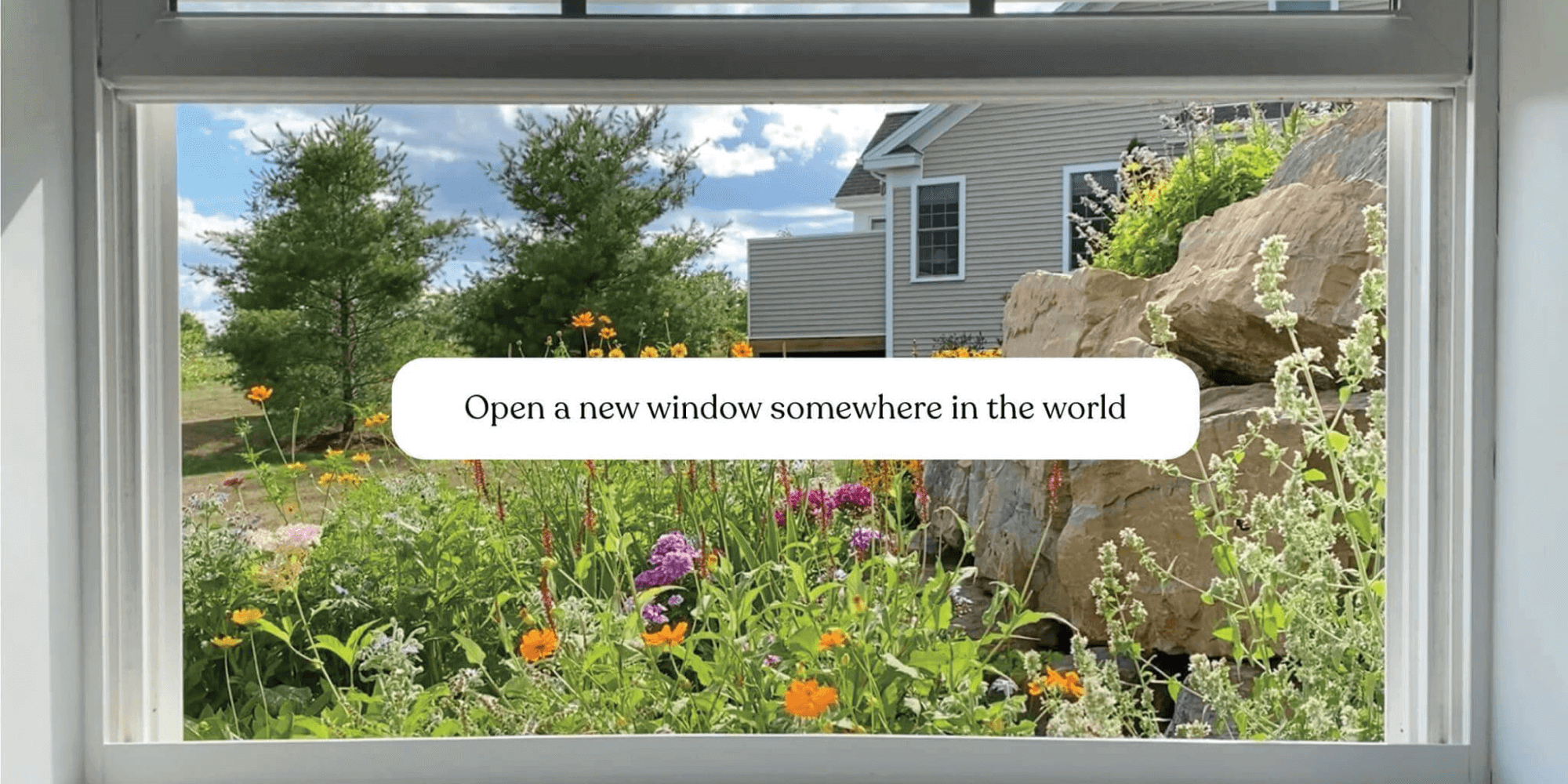 www.window-swap.com